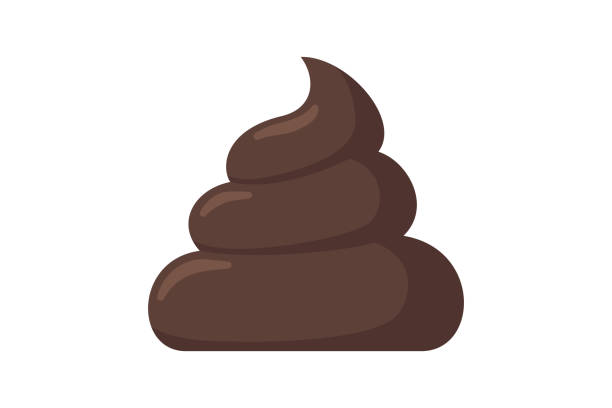 cow poop.jpg